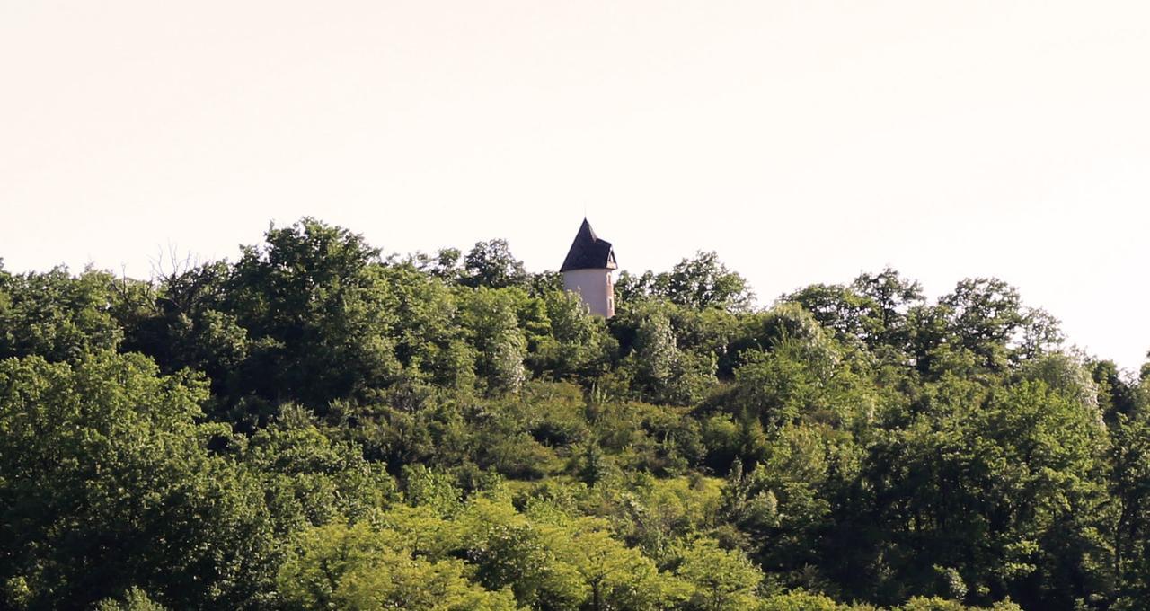 Moulin De Rouze Villa Castelnaud-de-Gratecambe Exterior photo